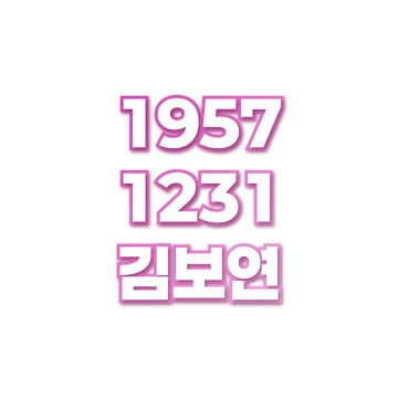 김보연