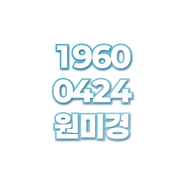 원미경