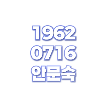안문숙