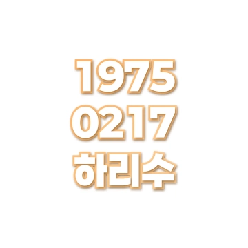 하리수
