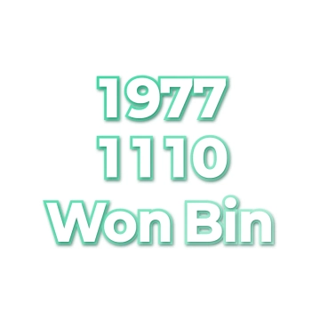 Won Bin