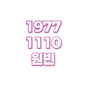 원빈