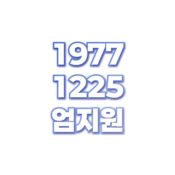 엄지원