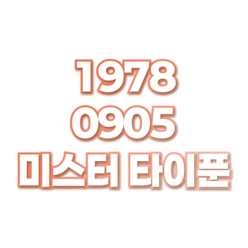미스터 타이푼