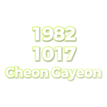 Cheon Gayeon