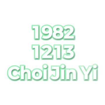 Choi Jin Yi
