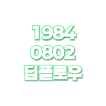 딥플로우
