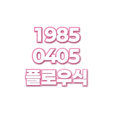 플로우식