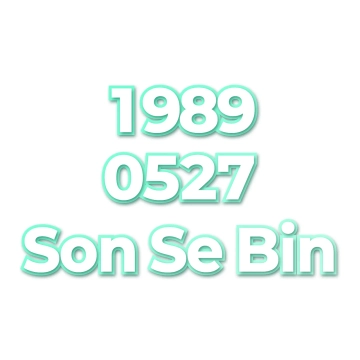 Son Se Bin