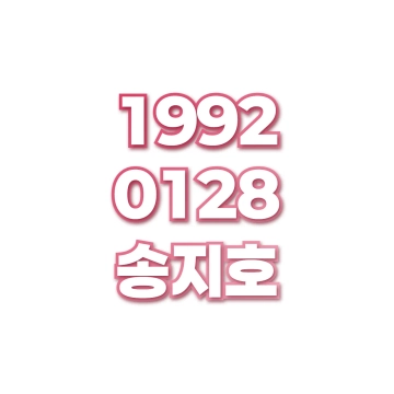 송지호