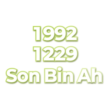 Son Bin Ah