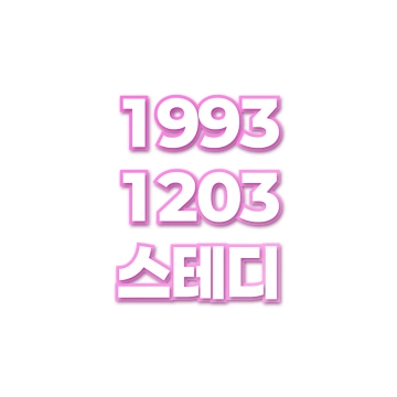 스테디