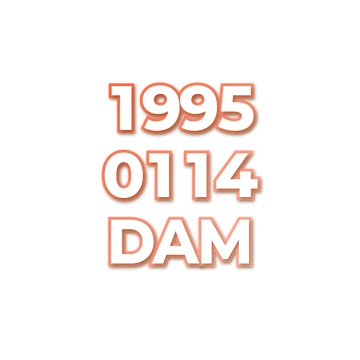 DAM