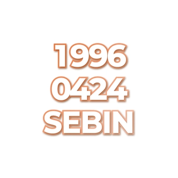 SEBIN