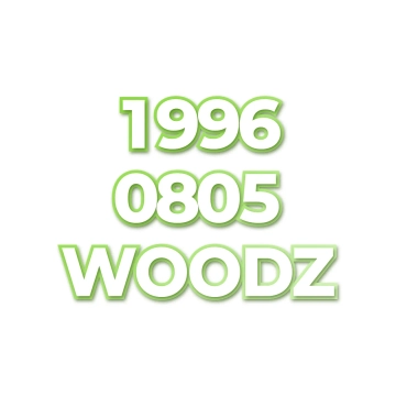 WOODZ