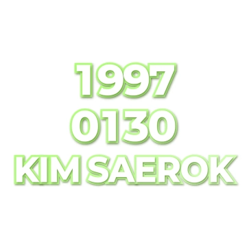 KIM SAEROK
