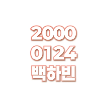 백하빈