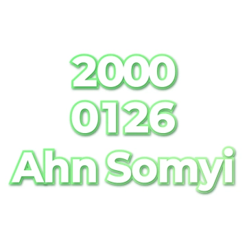 Ahn Somyi