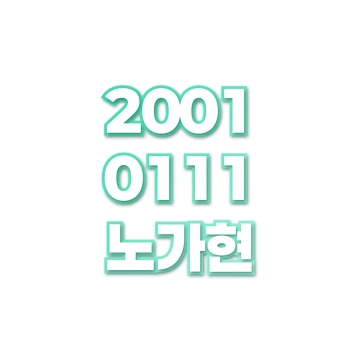 노가현