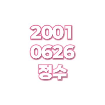 정수