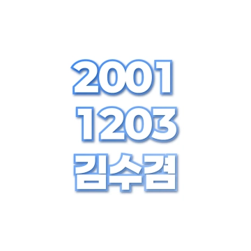 김수겸
