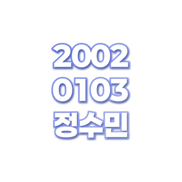 정수민