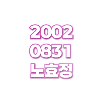 노효정